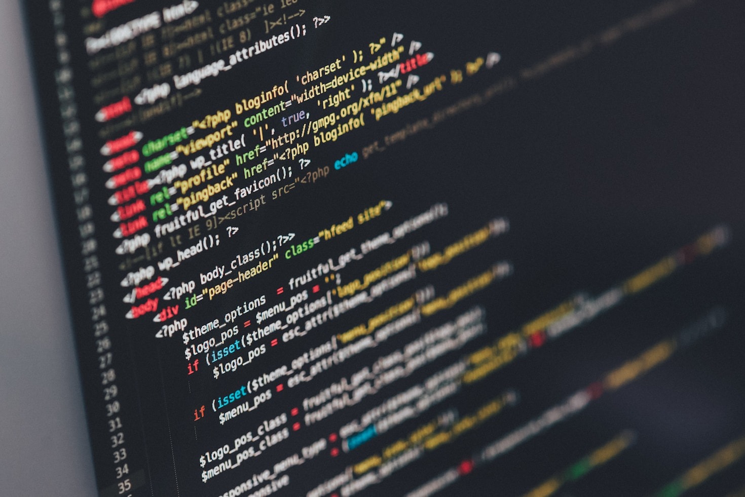 Top 5 Programming Languages for Artistic Coders
